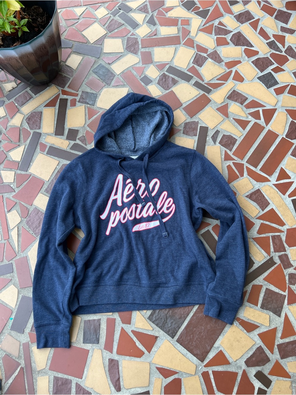 Aeropostale Navy Hoodie with Pink Script Logo